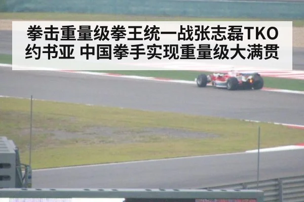 拳击重量级拳王统一战张志磊TKO约书亚 中国拳手实现重量级大满贯